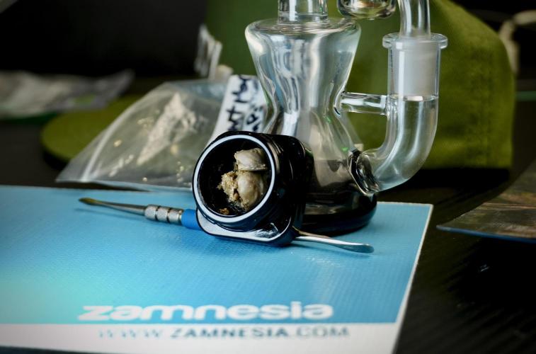 Dognabis 035 Permanent Marker (Zamnesia). Week 15 - Low temp 2 months cold cured 