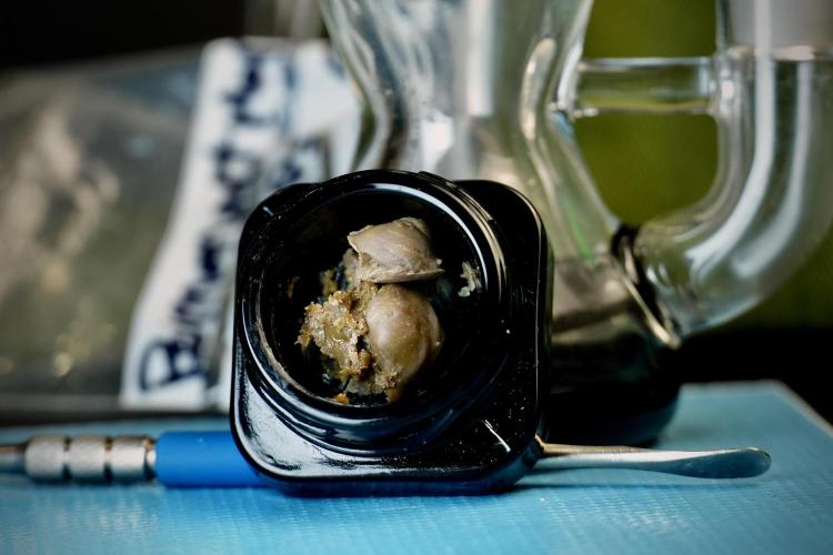 Dognabis 035 Permanent Marker (Zamnesia). Week 15 - Low temp 2 months cold cured 