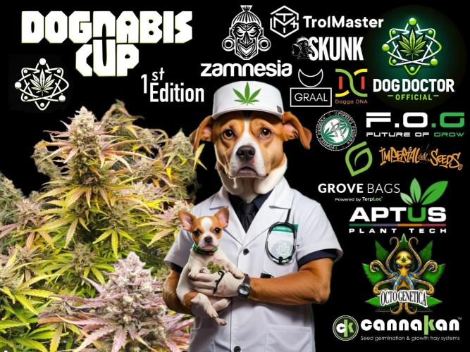 Dognabis 035 Permanent Marker (Zamnesia). Week 15 - the cup