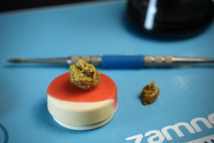 BHO Extraction. Week 13 - path 01, 2 months cold cured 