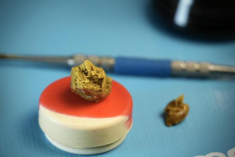 BHO Extraction. Week 13 - path 01, 2 months cold cured 