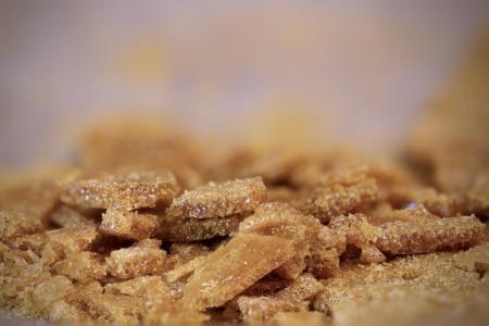 Comment by DogDoctorOfficial photo #2