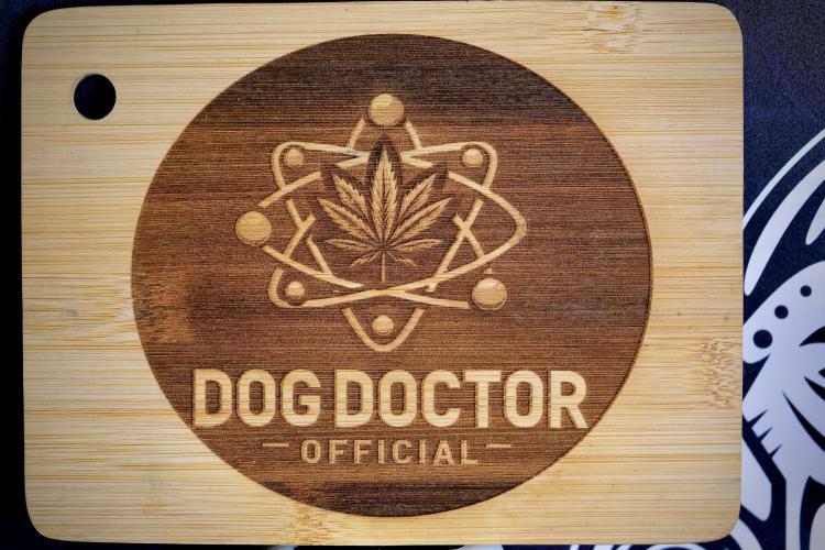 GMO Cookies Served with extra curiosity. Week 3 - Room Studio and Vibes 