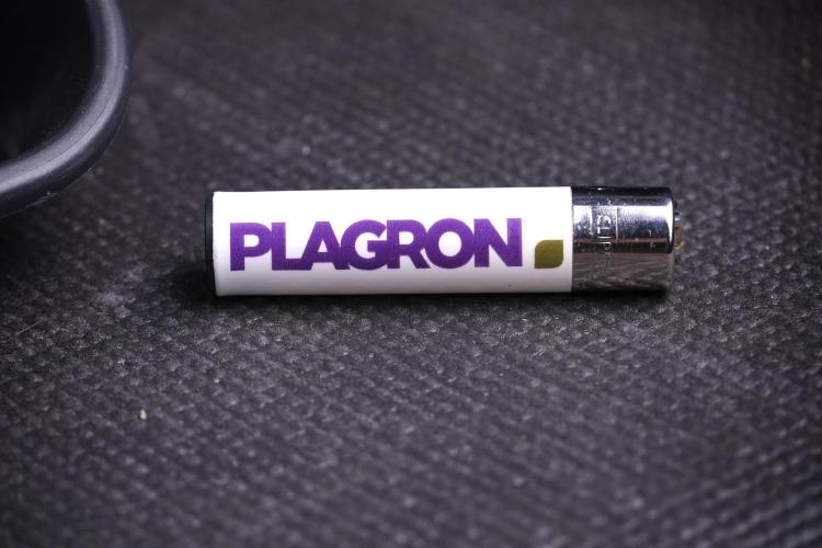 GMO Cookies Served with extra curiosity. Week 3 - Room Studio and Vibes 