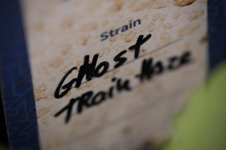 Catching The Ghost Train Haze @ Zamnesia. Week 3 - GTH