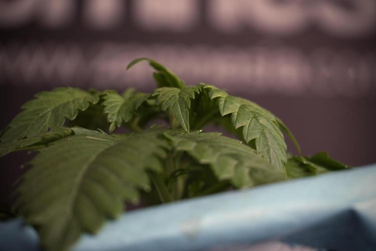 Skywalker OG Legends of the 12/12 Galaxy. Week 3 - Skywalker OG 