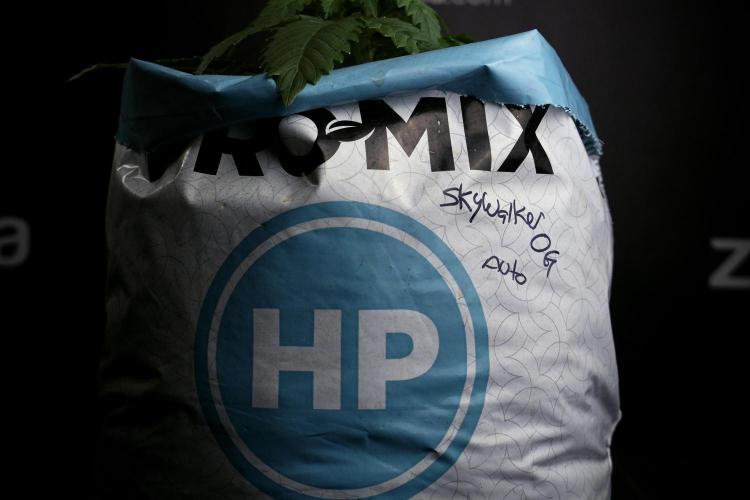 Skywalker OG Legends of the 12/12 Galaxy. Week 3 - Skywalker OG 