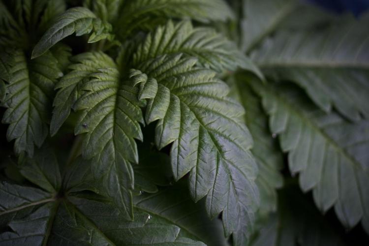 Skywalker OG Legends of the 12/12 Galaxy. Week 3 - Skywalker OG 