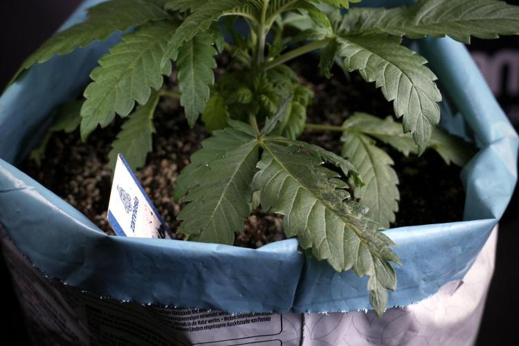 Skywalker OG Legends of the 12/12 Galaxy. Week 3 - Skywalker OG 