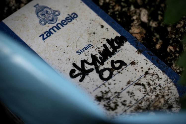 Skywalker OG Legends of the 12/12 Galaxy. Week 3 - Skywalker OG 