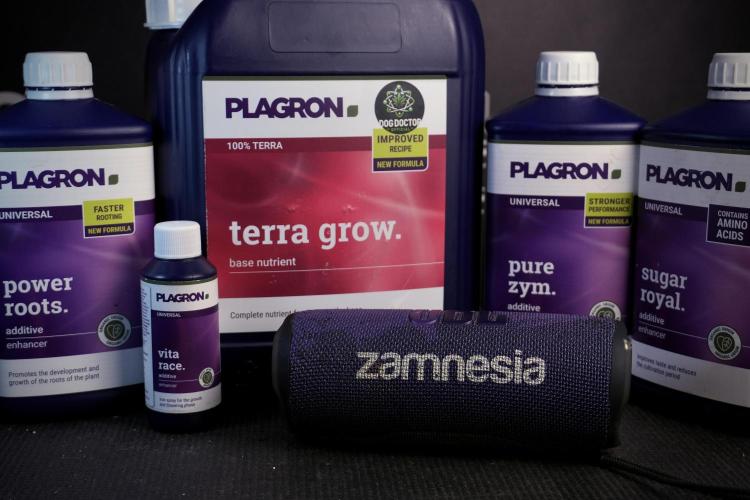 LSD Zamnesia Trippping. Week 4 - Room Gear and Vibes