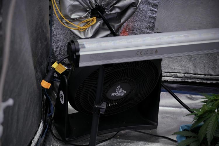 LSD Zamnesia Trippping. Week 4 - Room Gear and Vibes