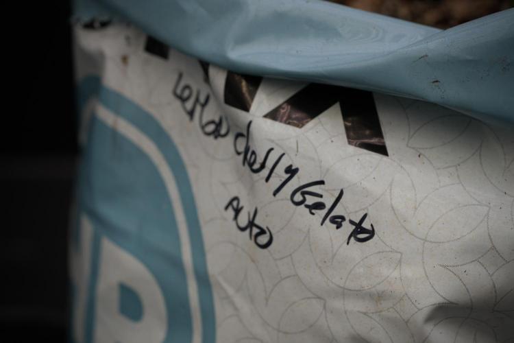 Lemon Cherry Gelato YumYum. Week 4 - Lemon Cherry Gelato 