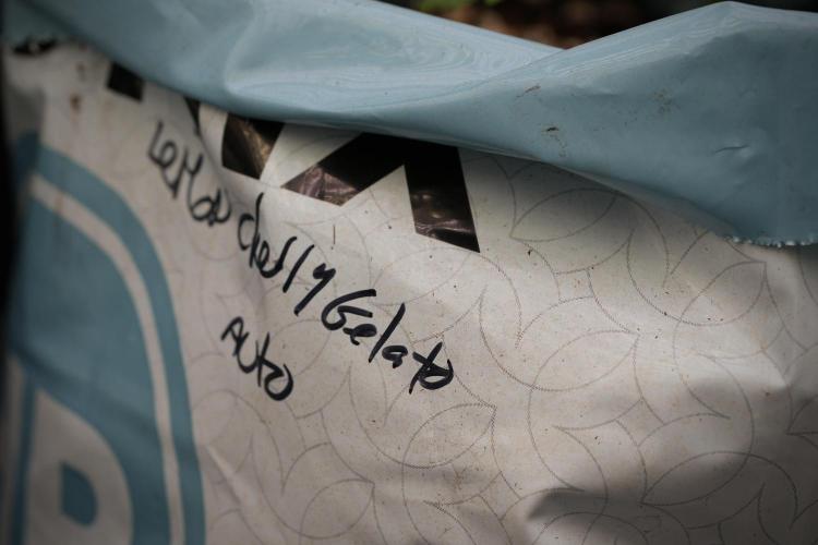 Lemon Cherry Gelato YumYum. Week 4 - Lemon Cherry Gelato 