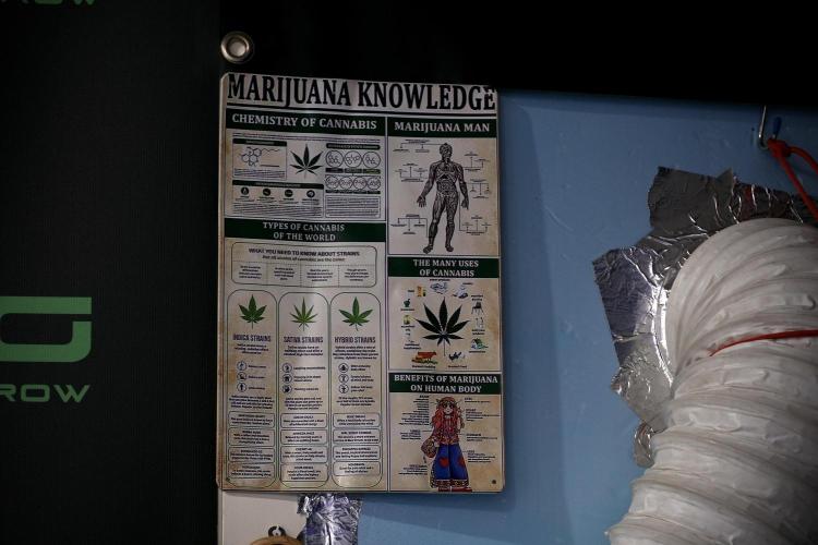 Lemon Cherry Gelato YumYum. Week 4 - Room Gear and Vibes