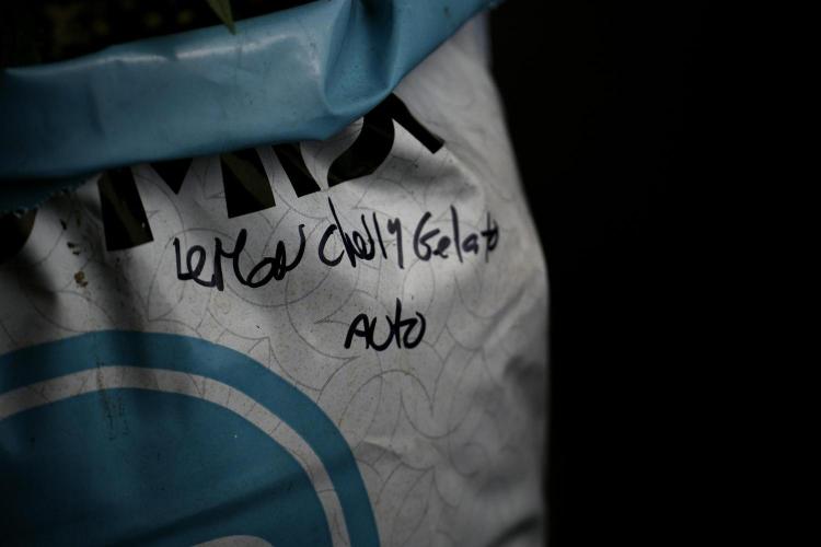 Lemon Cherry Gelato YumYum. Week 4 - Room Gear and Vibes