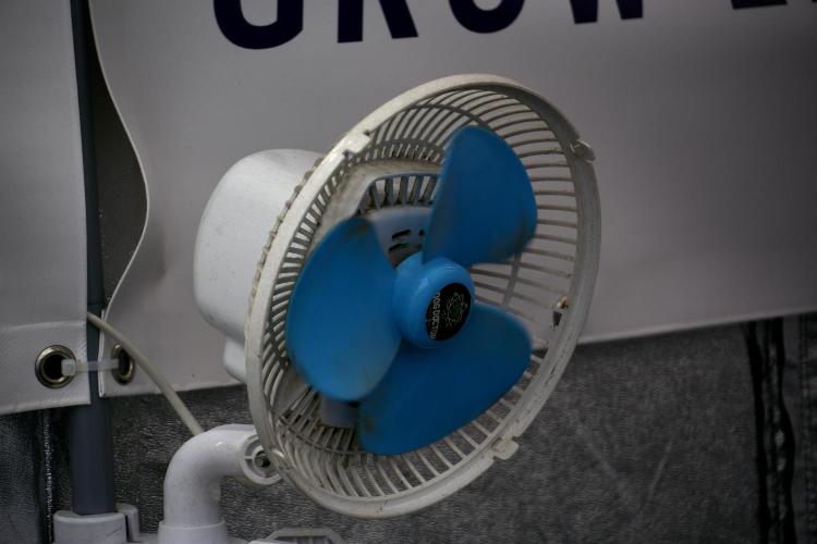 Lemon Cherry Gelato YumYum. Week 4 - Room Gear and Vibes