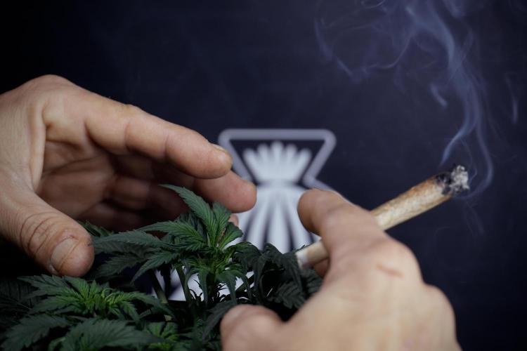 Cosmic Noodles a Zamnesia Dish. Week 4 - Cosmic trainings 