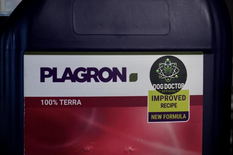 Cosmic Noodles a Zamnesia Dish. Week 4 - Room and vibes 