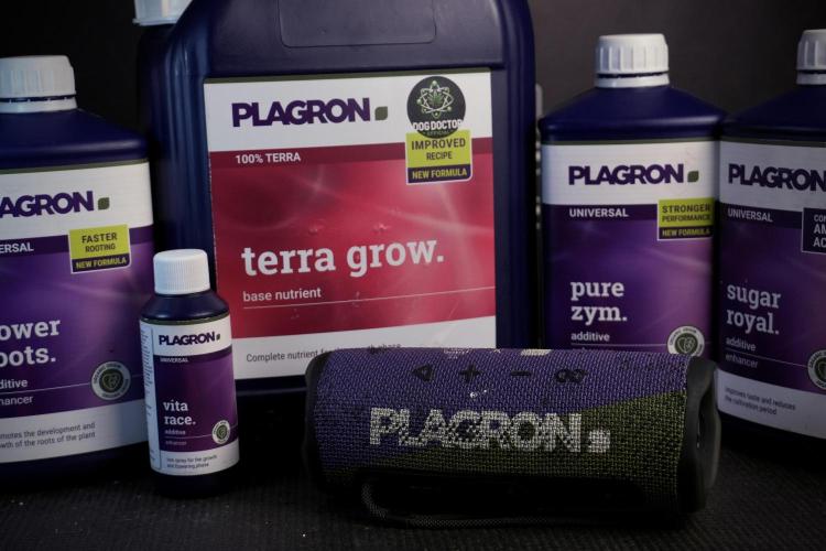 Cosmic Noodles a Zamnesia Dish. Week 4 - Room and vibes 