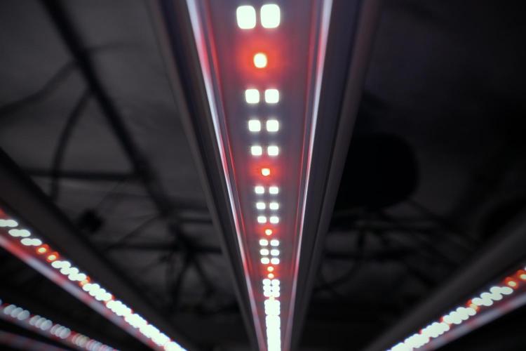 Cosmic Noodles a Zamnesia Dish. Week 4 - Room and vibes 