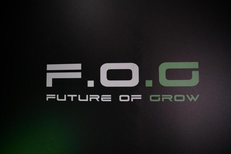 Cosmic Noodles a Zamnesia Dish. Week 4 - Room and vibes 