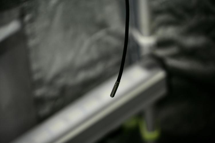 Cosmic Noodles a Zamnesia Dish. Week 4 - Room and Vibes