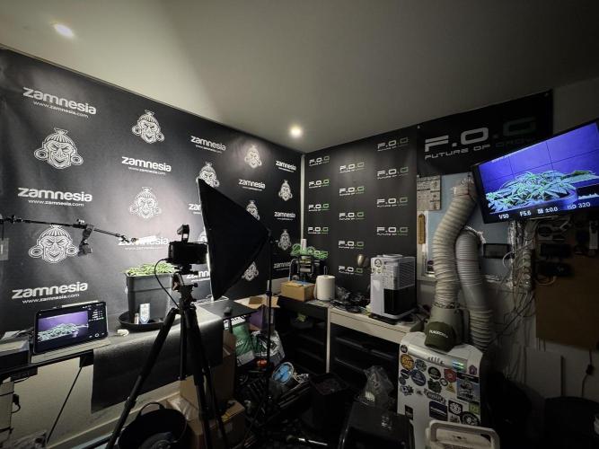 Cosmic Noodles a Zamnesia Dish. Week 4 - room and vibes 