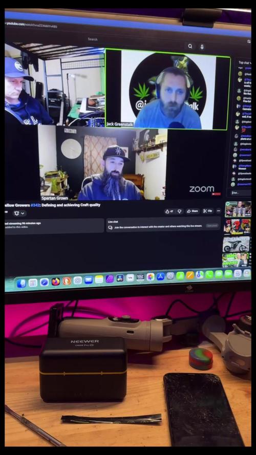 Cosmic Noodles a Zamnesia Dish