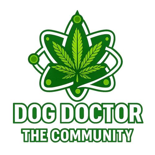 Cosmic Noodles a Zamnesia Dish. Week 4 - Joint us 