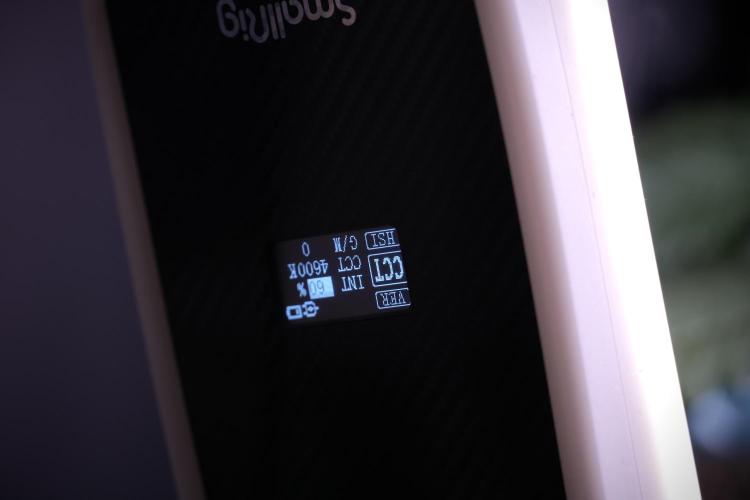 Amnesia Skunk The Zamnesia Way. Week 4 - Amnesia Skunk 12/12 From Seed Studio session 