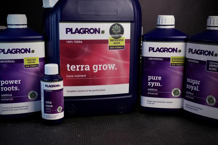 Amnesia Skunk The Zamnesia Way. Week 4 - Room and Vibes 