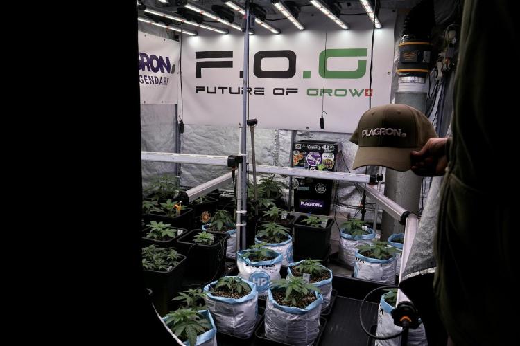 Catching The Ghost Train Haze @ Zamnesia. Week 4 - Room and vibes 