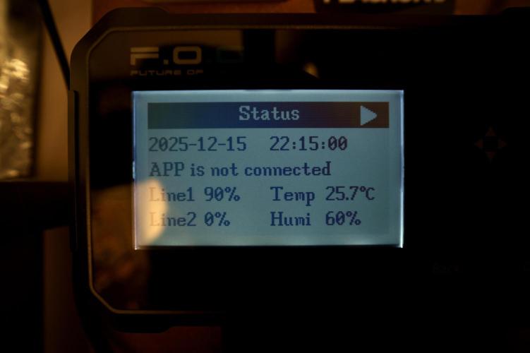 Catching The Ghost Train Haze @ Zamnesia. Week 4 - Room and vibes 