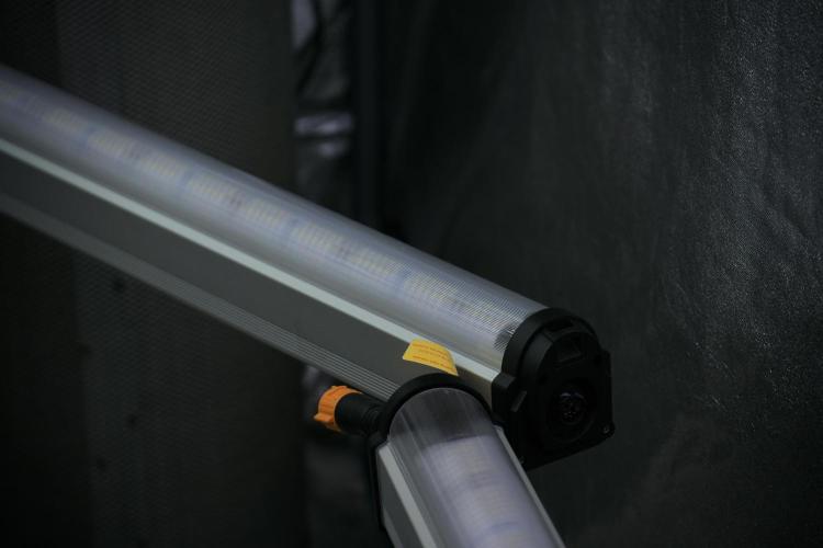 GMO Cookies Served with extra curiosity. Week 4 - Room and vibes