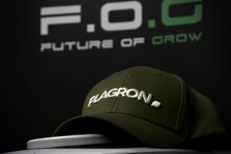 GMO Cookies Served with extra curiosity. Week 4 - Room and vibes