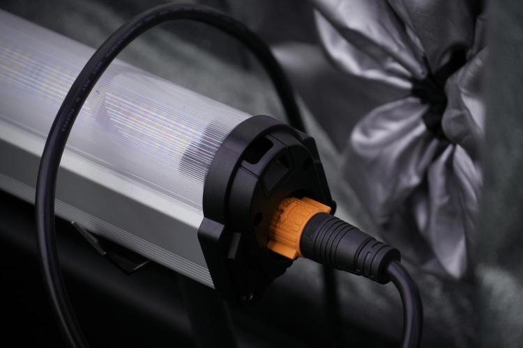 Skywalker OG Legends of the 12/12 Galaxy. Week 4 - Room and vibes 