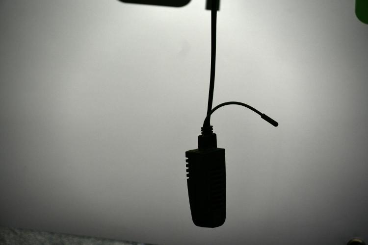 Animal Mints-Legends of the Frozen North. Week 4 - room and vibes