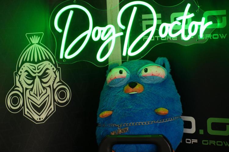 TicaL X Zamnesia-NectarDrip pack#268/750. Week 6 - Room and Vibes 