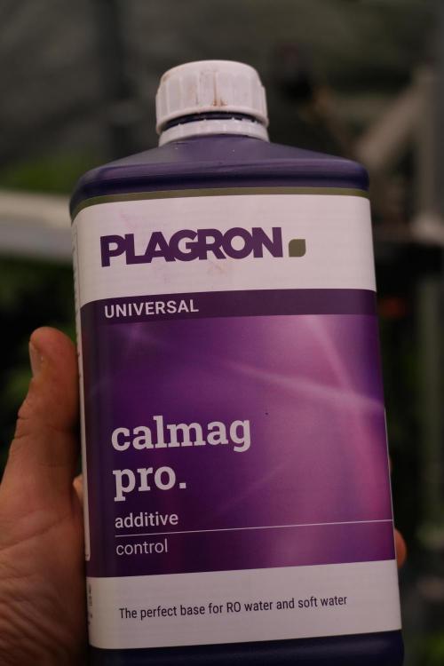 TicaL X Zamnesia-NectarDrip pack#268/750. Week 6 - New entry 