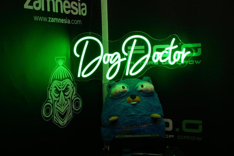 TicaL X Zamnesia-NectarDrip pack#268/750. Week 6 - Room and Vibes 