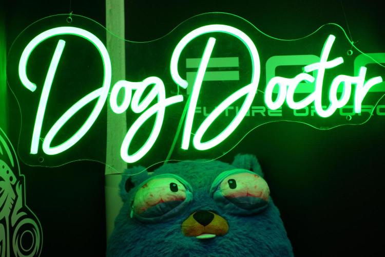 TicaL X Zamnesia-NectarDrip pack#268/750. Week 6 - Room and Vibes 