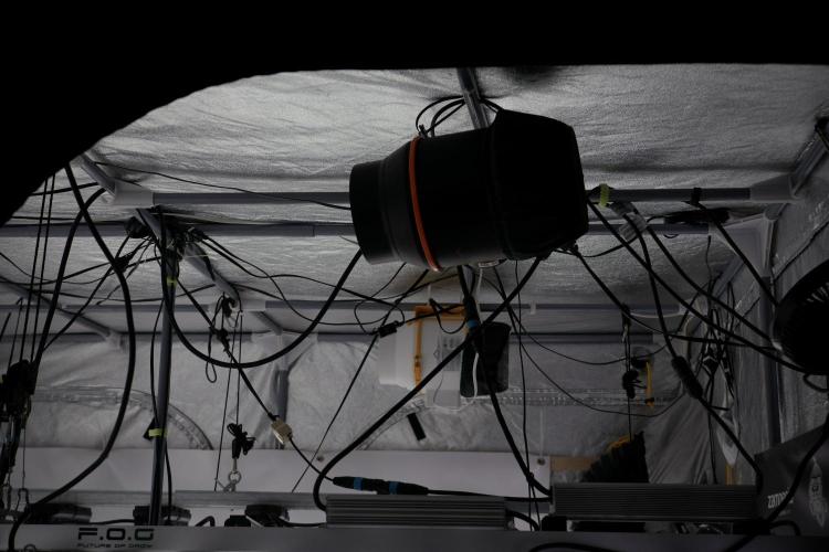 LSD Zamnesia Trippping. Week 5 - Room Gear and Vibes