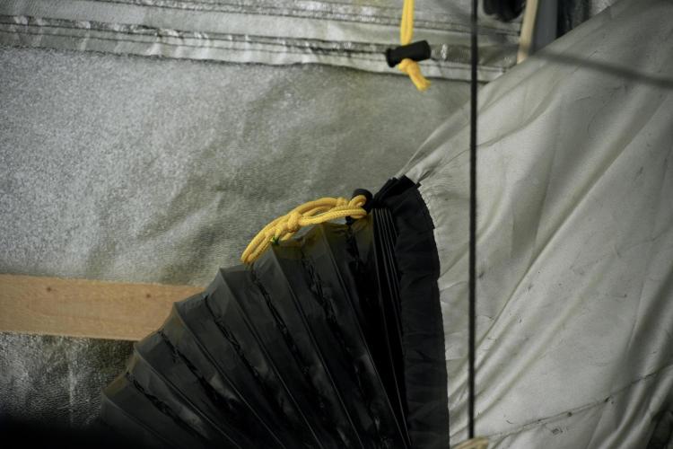 LSD Zamnesia Trippping. Week 5 - Room gear and vibes 