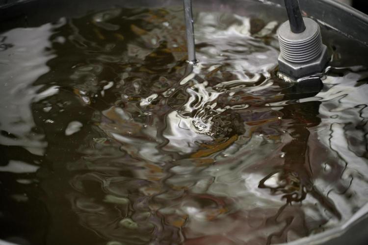 LSD Zamnesia Trippping. Week 5 - Room gear and vibes 