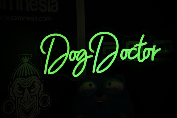 Lemon Cherry Gelato YumYum. Week 5 - Room and Vibes