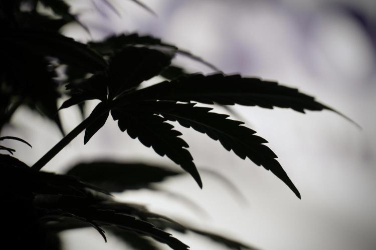 Cosmic Noodles a Zamnesia Dish. Week 5 -  18/6 period