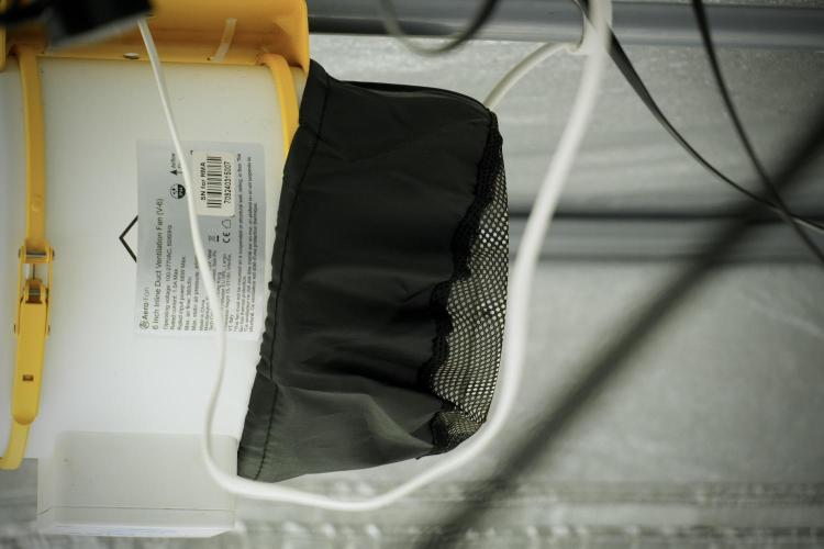 Amnesia Skunk The Zamnesia Way. Week 5 - Room, Gear, Vibes and all