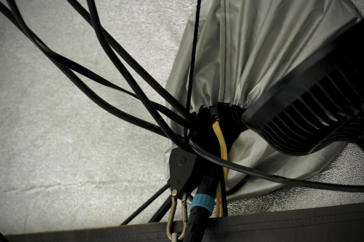 Catching The Ghost Train Haze @ Zamnesia. Week 5 - Room conditions and vibes 