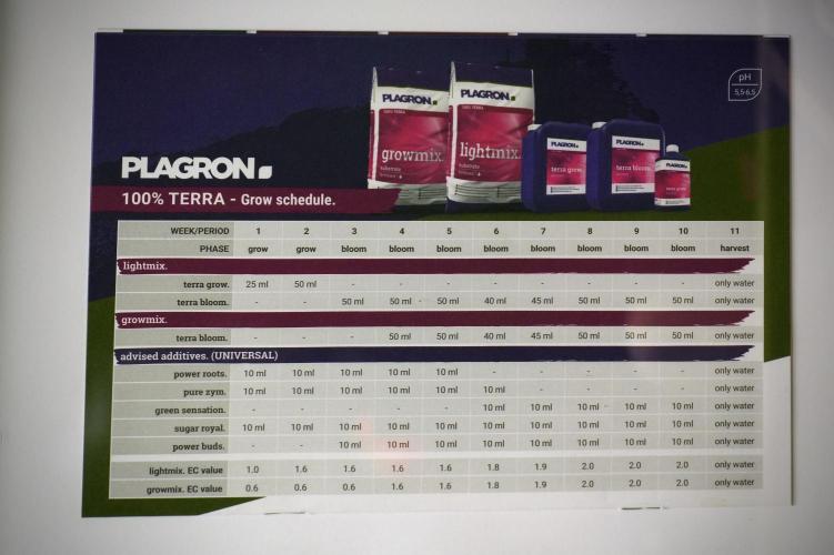 Catching The Ghost Train Haze @ Zamnesia. Week 5 - Room conditions and vibes 